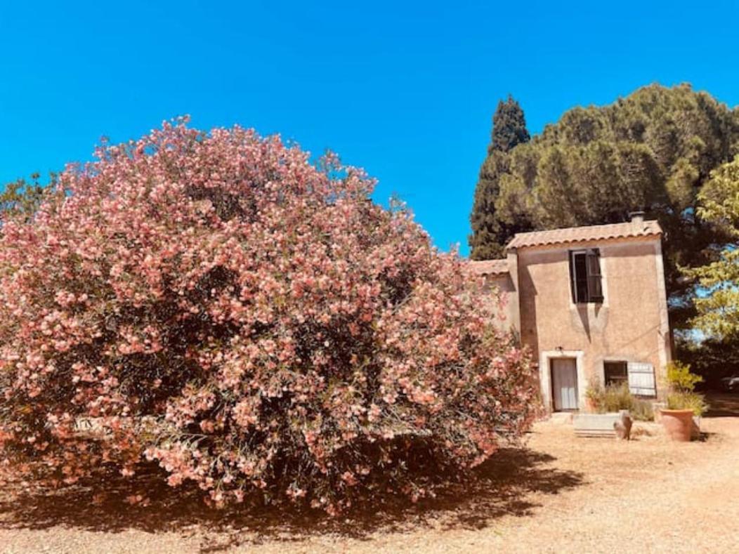 Casa Côté Sud - Mas Bois Fontaine Villa Nimes Exterior foto